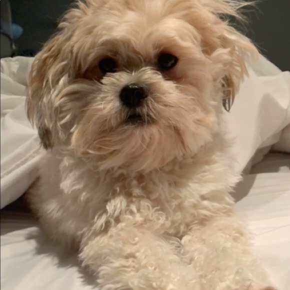 ABOUT ME 🖤 - Victoria - Instagram: _toritucker ⭐️ - Picture 10 of 11